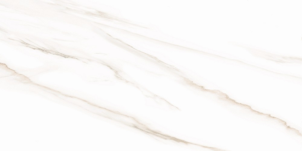 Облицовочная плитка Esprit Calacatta WT9ESR00 250x500 (1,625)