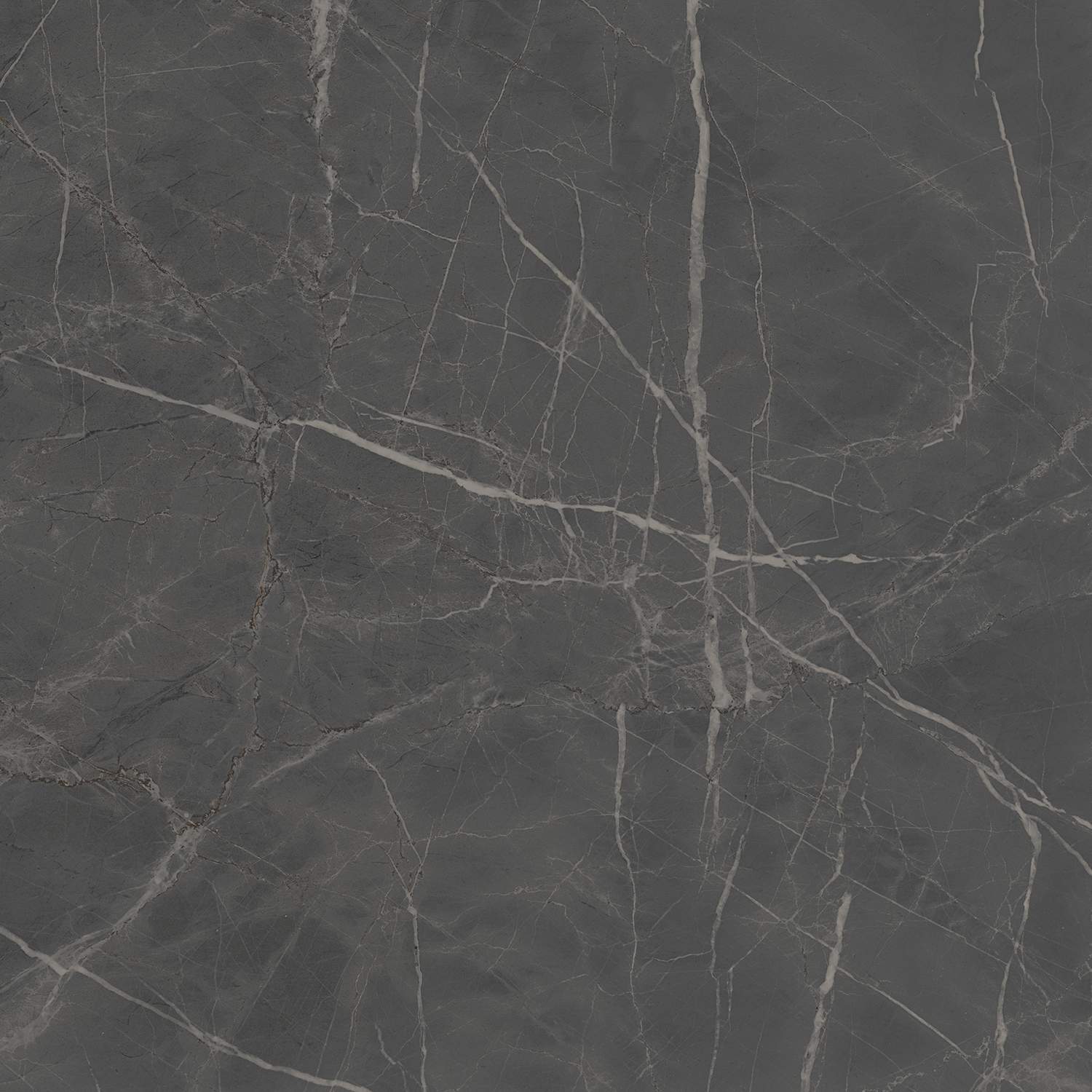 Керамогранит Kerama Marazzi Буонарроти SG642900R Серый 600x600 (1,44*43,2)