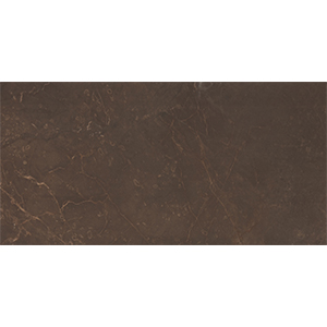 Облицовочная плитка RYAN  WT9MRB21 249x500 (1,494)