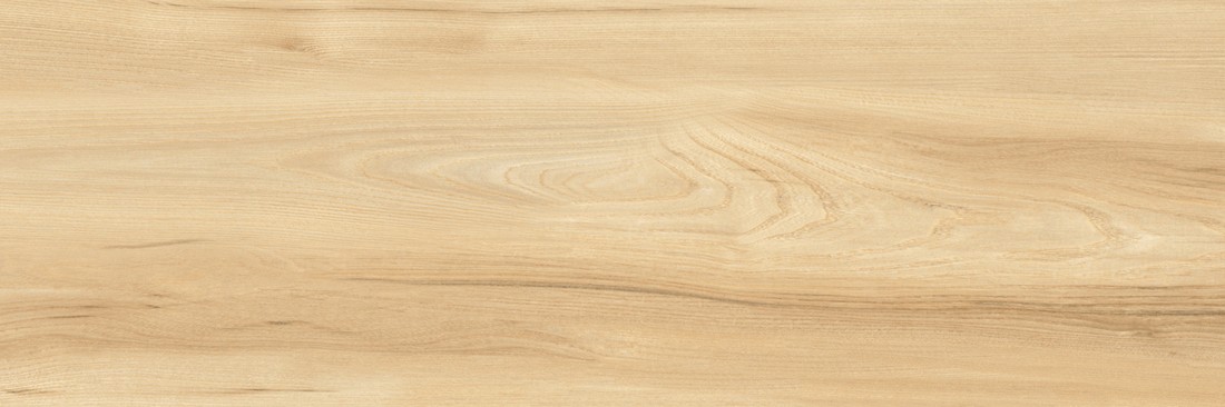 Облицовочная плитка WOODSTYLE ELM WT93WOS11 300x900 (1,35*48,6)