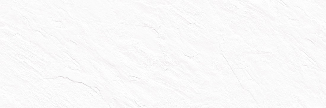 Облицовочная плитка Leon White WT15LEN00R 246x740 (1,274*53,508)