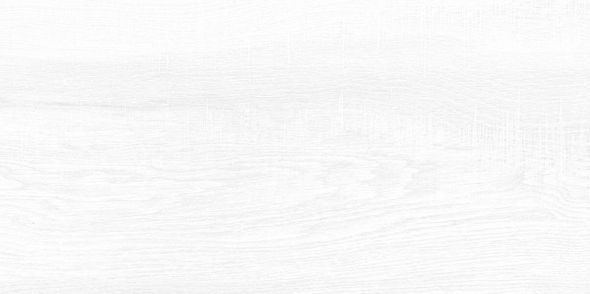 Облицовочная плитка BRIOLE WT9BRE00 249x500 (1,494)