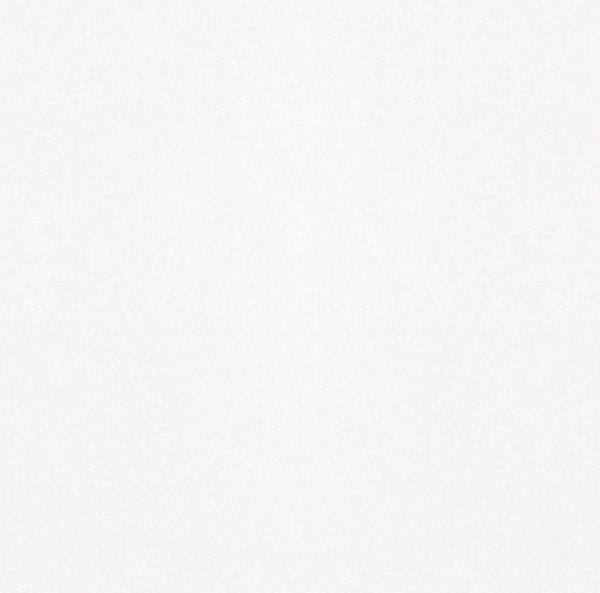 Керамогранит Monocolor sugar white PG 01 450х450 (1,62*42,12)