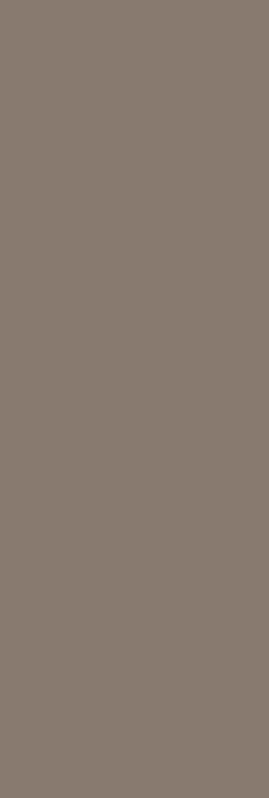 Керамическая плитка Moncada Brown WT15MNC21 253x750 (1,328*55,776)