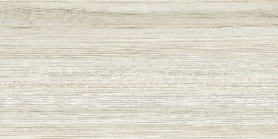 Облицовочная плитка ASSENSE WT9ESS11 249x500 (1,245)